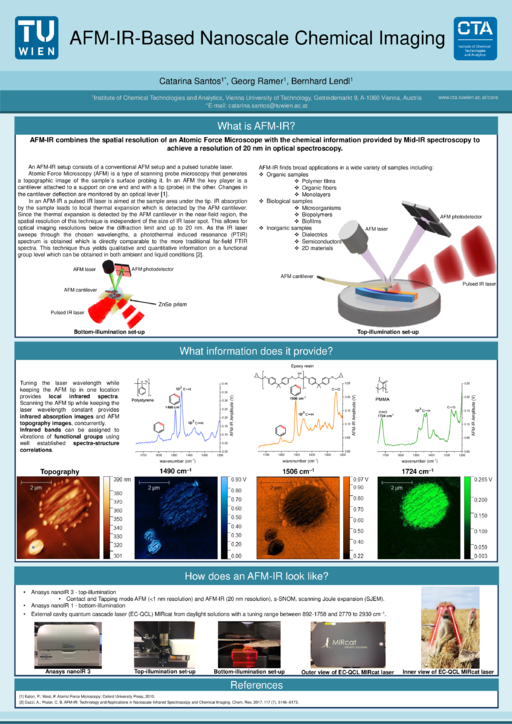 Catarina Santos presents a poster